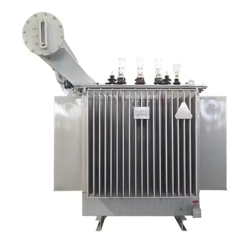 Tamamen Kapalı Üç Fazlı Dış Mekan Enerji Tasarruflu Transformatör Tamamen Kapalı Üç Fazlı Dış Mekan Enerji Tasarruflu Transformatör
